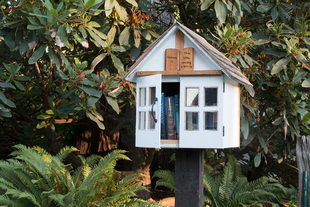 White little free library box with open doors