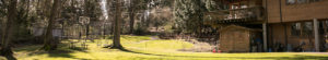 Wooded lawn with house, shed, basketball hoop