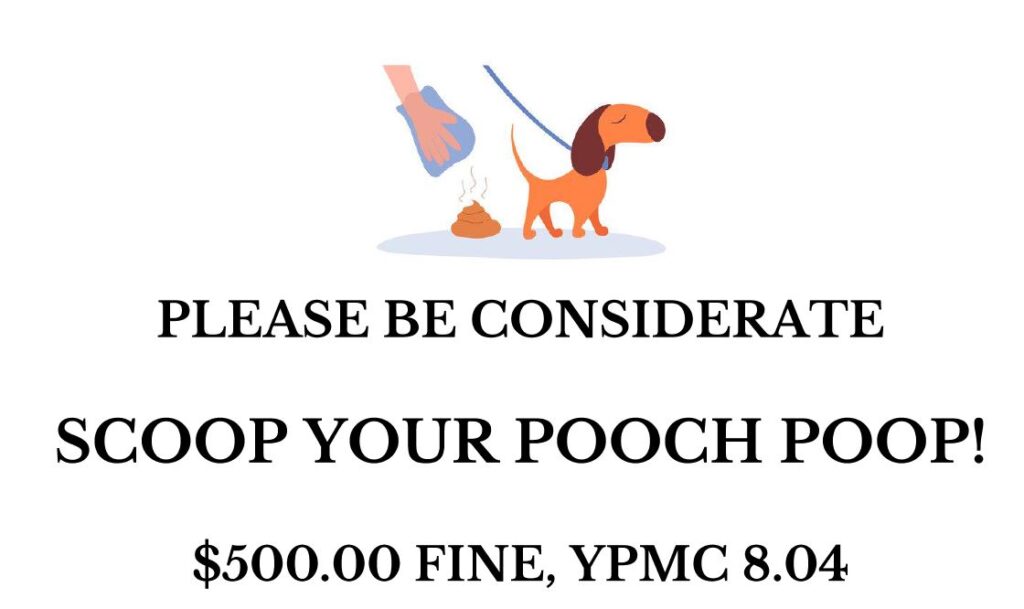 Sign: Scoop your pooch's poop, $500 fine